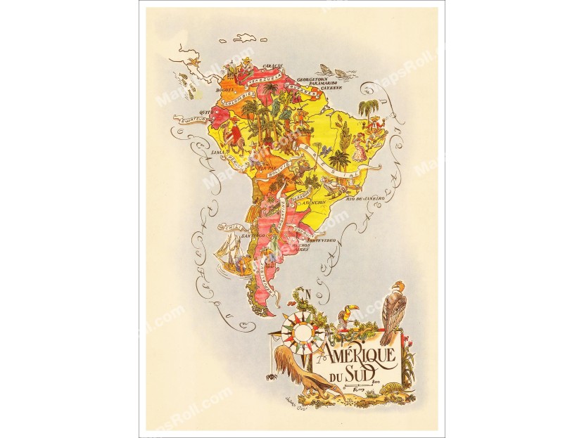 South America Map 1951 Jacques Liozu