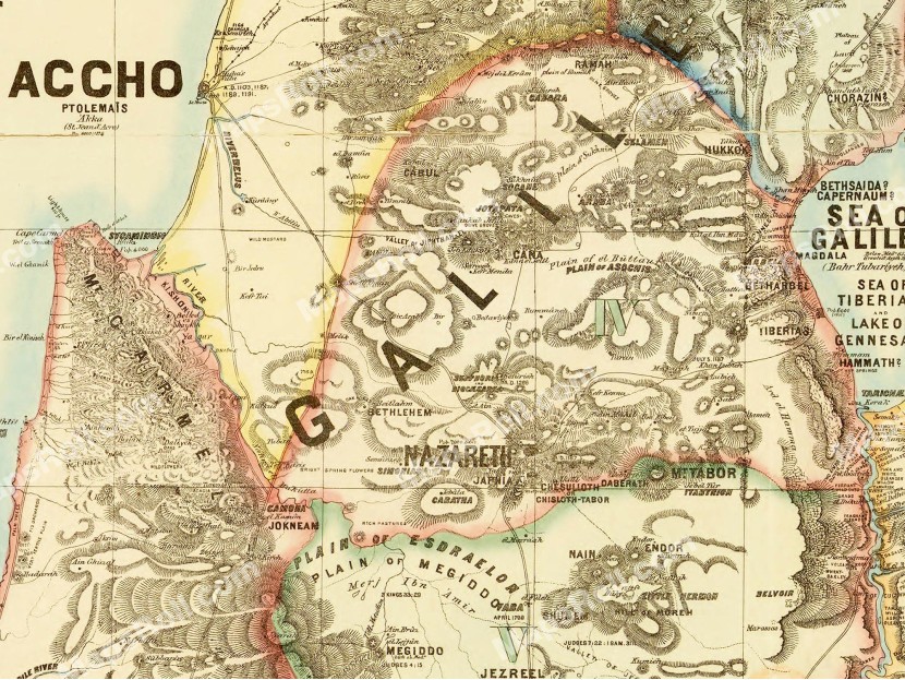 Map of Palestine and parts of Syria 1875 Henry Osborn